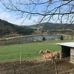 Haus Schoene Aussicht - Winterberg/niedersfeld * ヴィンターベルク