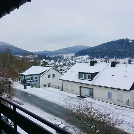 Haus Schoene Aussicht - Winterberg/niedersfeld Winterberg