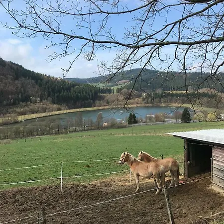 Haus Schoene Aussicht - Winterberg/niedersfeld * Βίντερμπεργκ