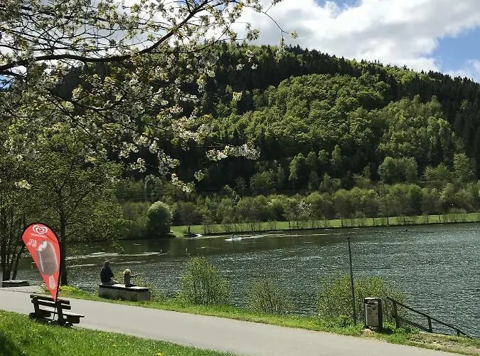 Haus Schoene Aussicht - Winterberg/niedersfeld Daire Winterberg