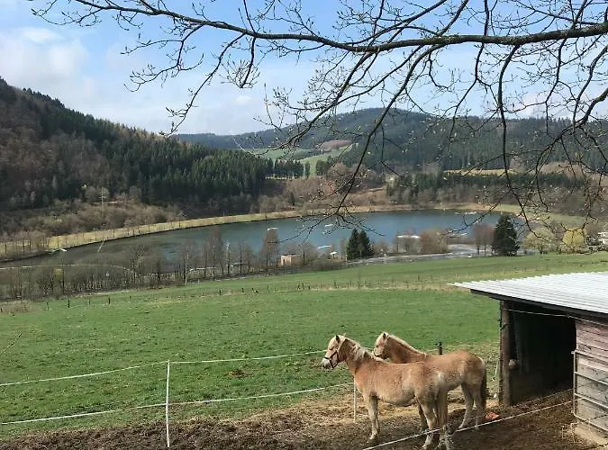 Haus Schoene Aussicht - Winterberg/niedersfeld * Winterberg